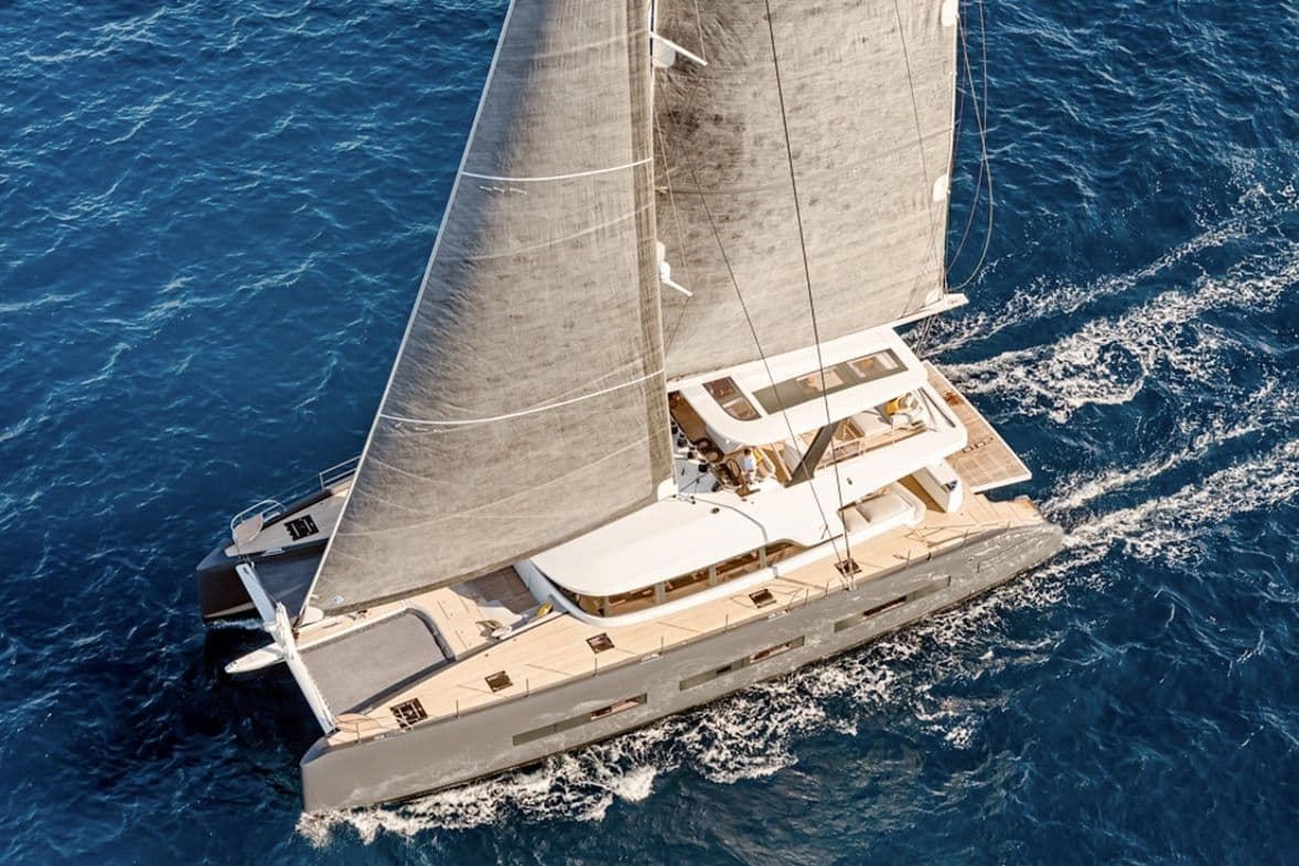 La Gatta — photo 3